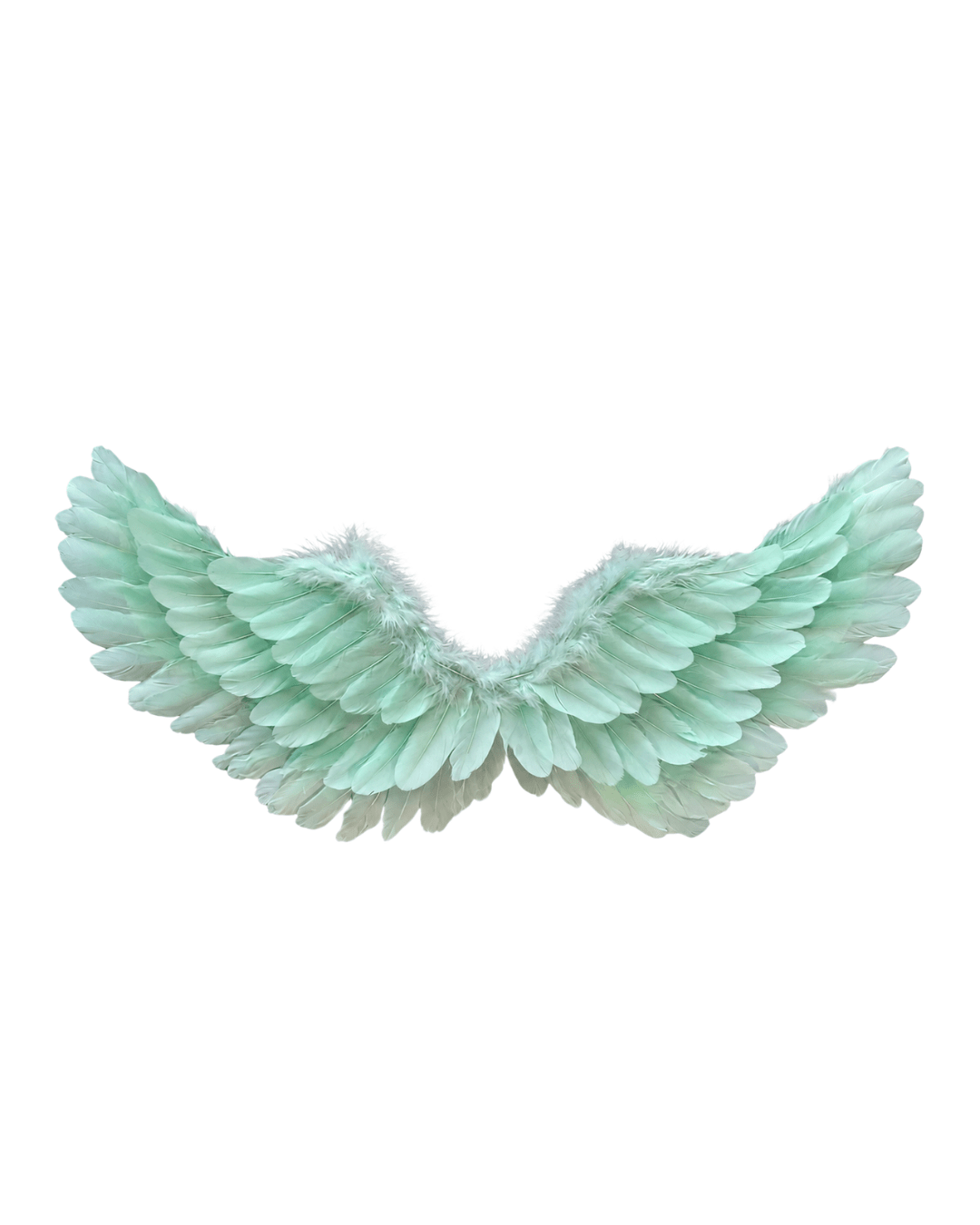 Angel Wings- Aqua - ChillFit Rave