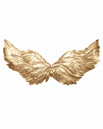 Angel Wings- Gold - ChillFit Rave