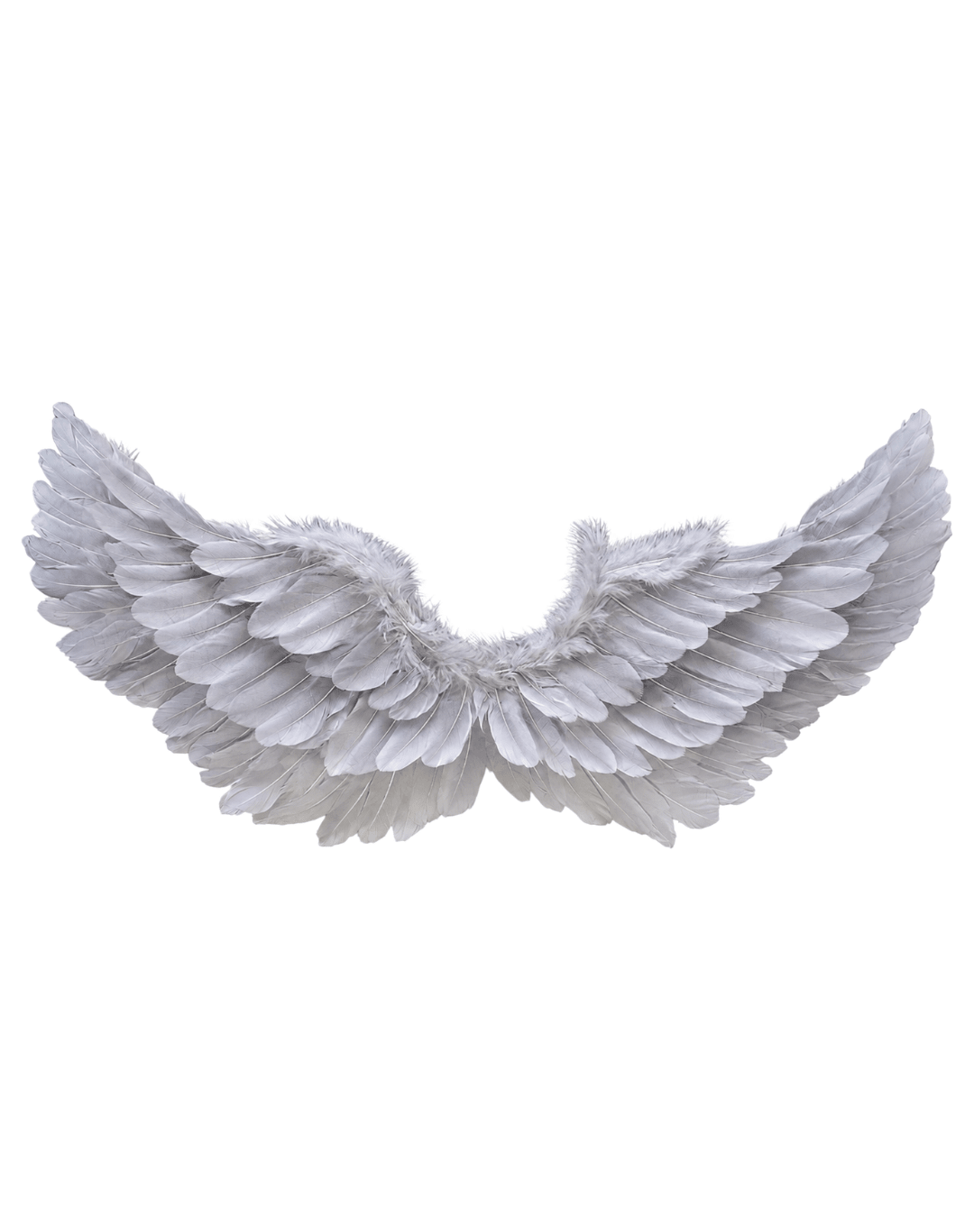 Angel Wings-Silver - ChillFit Rave