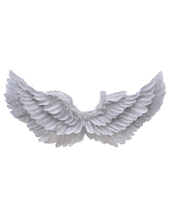 Angel Wings-Silver - ChillFit Rave