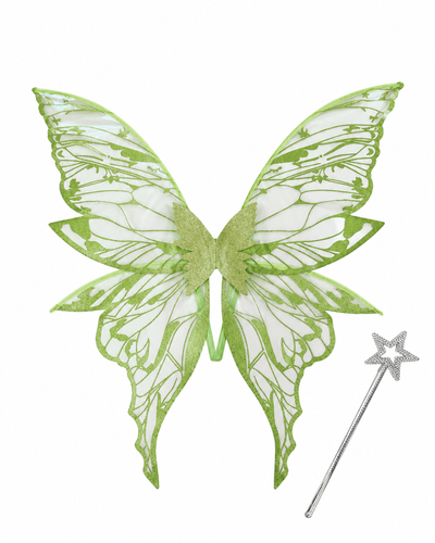 Green Fairy Wings Set
